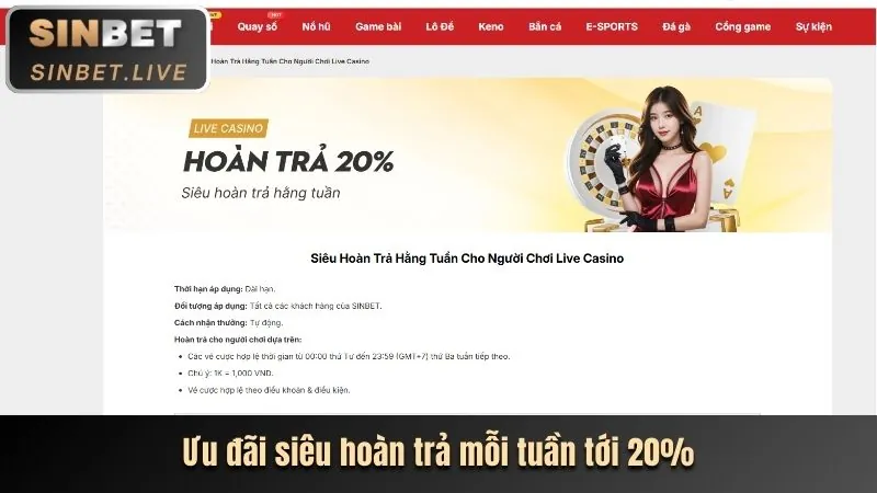 Hoàn Trả Thể Thao, Casino, Bắn Cá tv8805